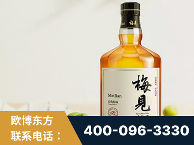 商丘-梅见青梅酒